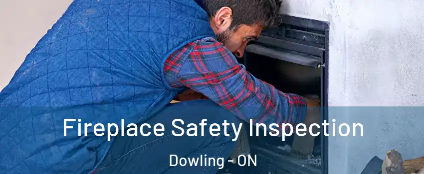  Fireplace Safety Inspection Dowling - ON