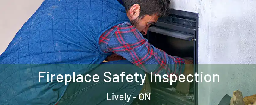  Fireplace Safety Inspection Lively - ON
