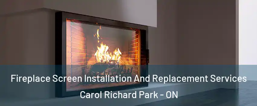 Fireplace Screen Installation And Replacement Services Carol Richard Park - ON
