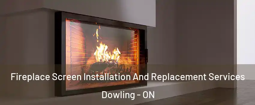Fireplace Screen Installation And Replacement Services Dowling - ON