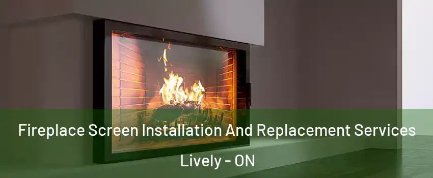 Fireplace Screen Installation And Replacement Services Lively - ON