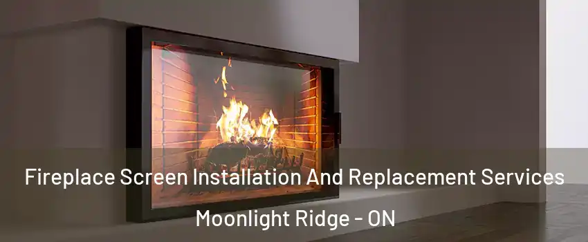Fireplace Screen Installation And Replacement Services Moonlight Ridge - ON