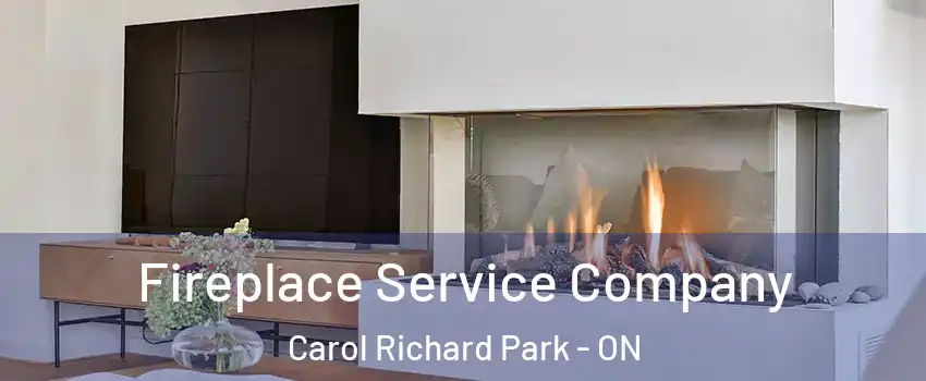 Fireplace Service Company Carol Richard Park - ON