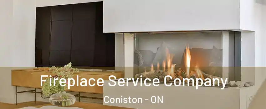  Fireplace Service Company Coniston - ON
