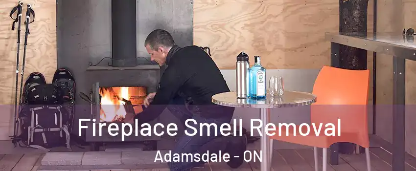  Fireplace Smell Removal Adamsdale - ON