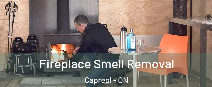  Fireplace Smell Removal Capreol - ON
