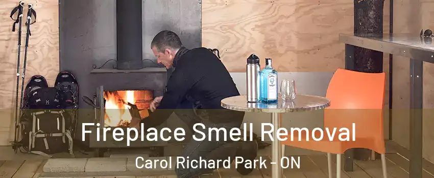  Fireplace Smell Removal Carol Richard Park - ON