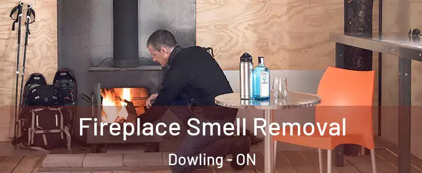  Fireplace Smell Removal Dowling - ON
