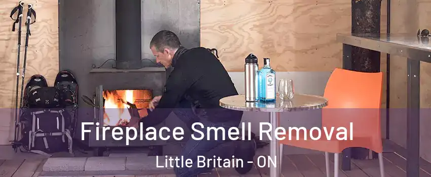  Fireplace Smell Removal Little Britain - ON
