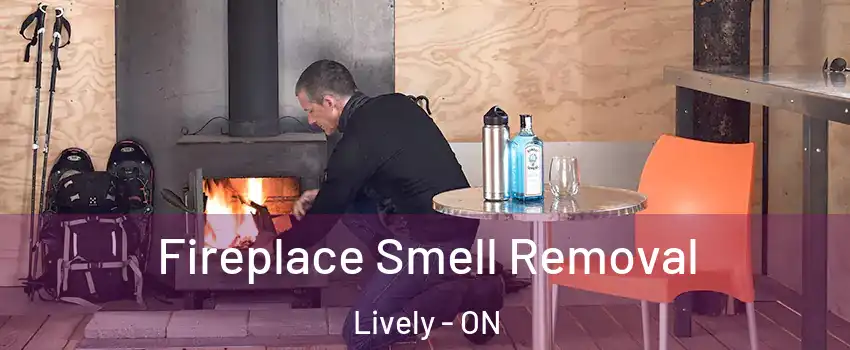  Fireplace Smell Removal Lively - ON