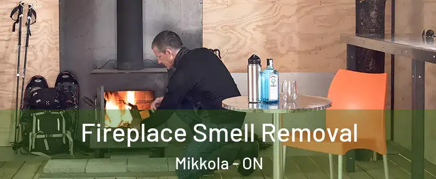  Fireplace Smell Removal Mikkola - ON
