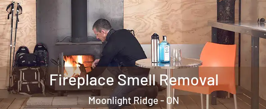  Fireplace Smell Removal Moonlight Ridge - ON
