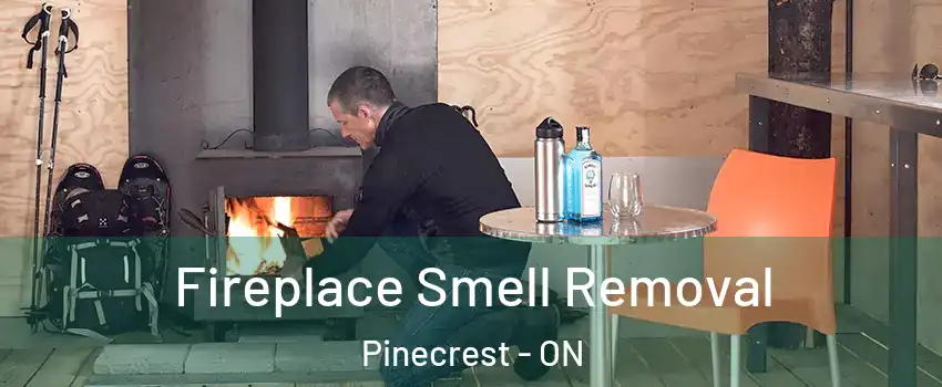  Fireplace Smell Removal Pinecrest - ON