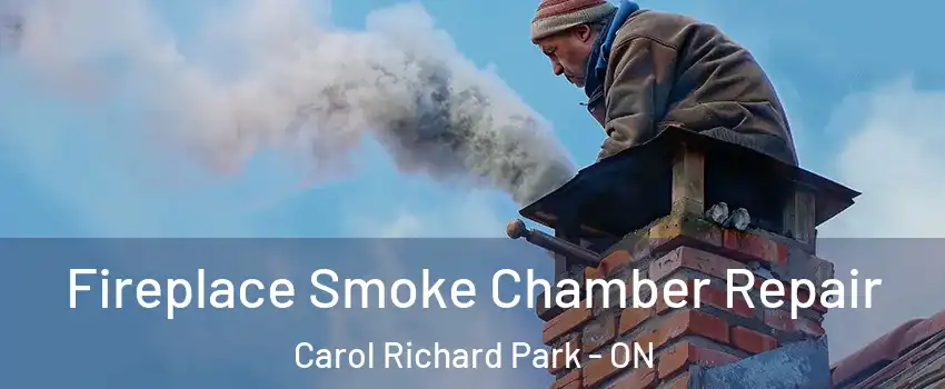  Fireplace Smoke Chamber Repair Carol Richard Park - ON
