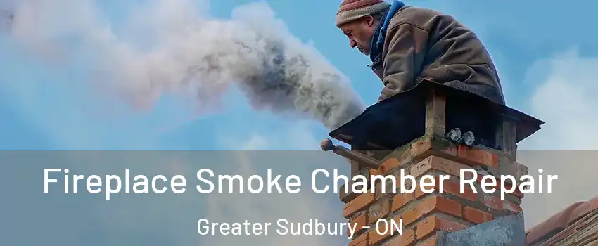  Fireplace Smoke Chamber Repair Greater Sudbury - ON