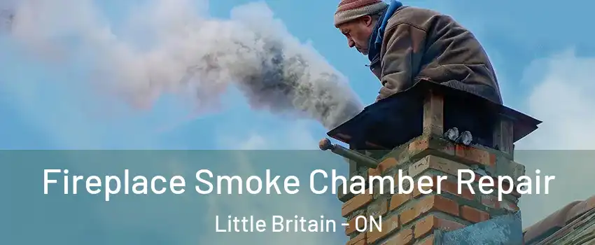  Fireplace Smoke Chamber Repair Little Britain - ON