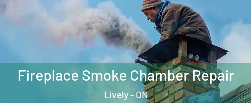  Fireplace Smoke Chamber Repair Lively - ON