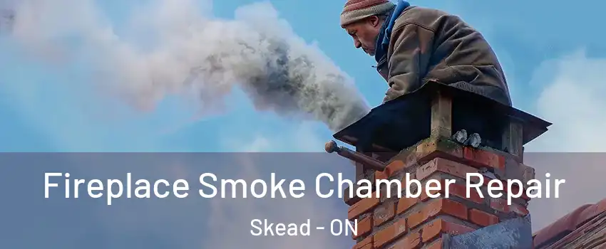  Fireplace Smoke Chamber Repair Skead - ON