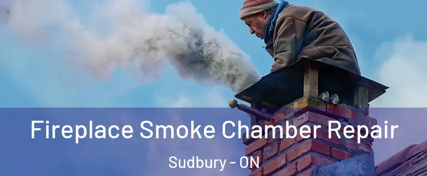  Fireplace Smoke Chamber Repair Sudbury - ON