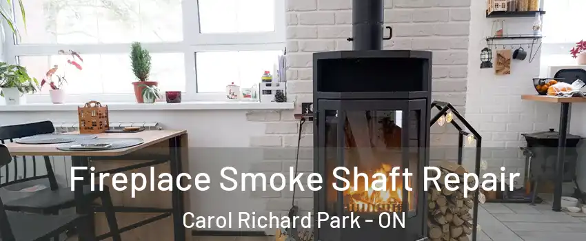  Fireplace Smoke Shaft Repair Carol Richard Park - ON