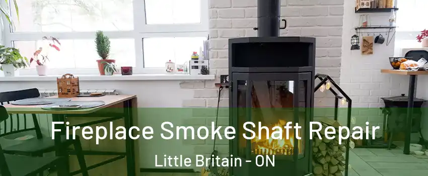  Fireplace Smoke Shaft Repair Little Britain - ON