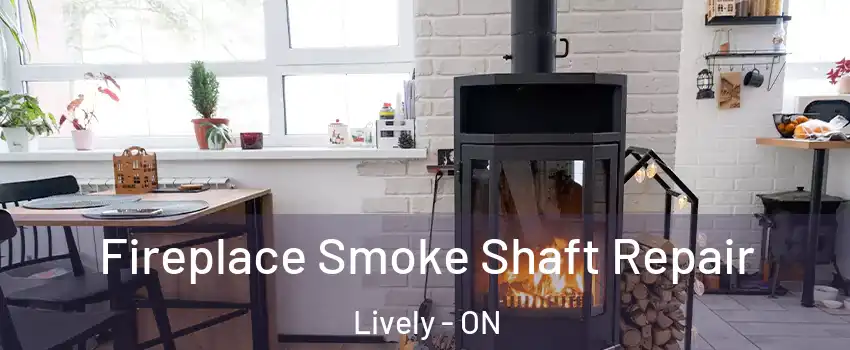  Fireplace Smoke Shaft Repair Lively - ON