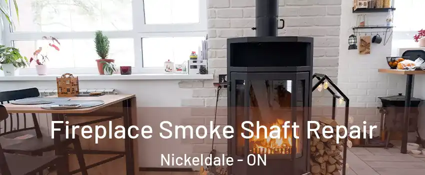  Fireplace Smoke Shaft Repair Nickeldale - ON