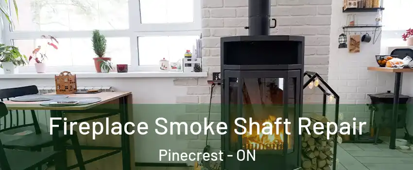  Fireplace Smoke Shaft Repair Pinecrest - ON