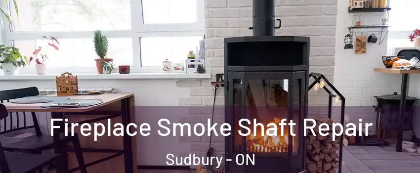  Fireplace Smoke Shaft Repair Sudbury - ON