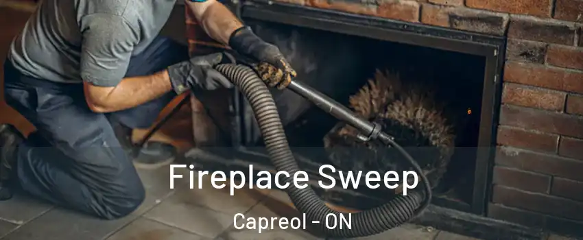  Fireplace Sweep Capreol - ON