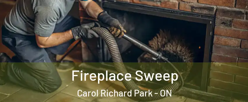  Fireplace Sweep Carol Richard Park - ON