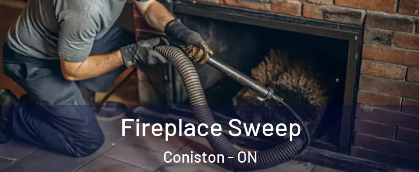  Fireplace Sweep Coniston - ON