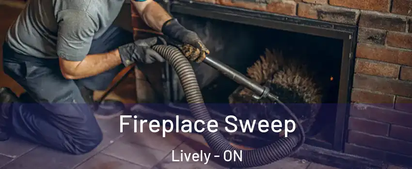  Fireplace Sweep Lively - ON