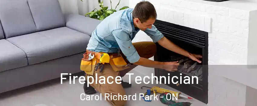 Fireplace Technician Carol Richard Park - ON