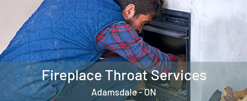  Fireplace Throat Services Adamsdale - ON