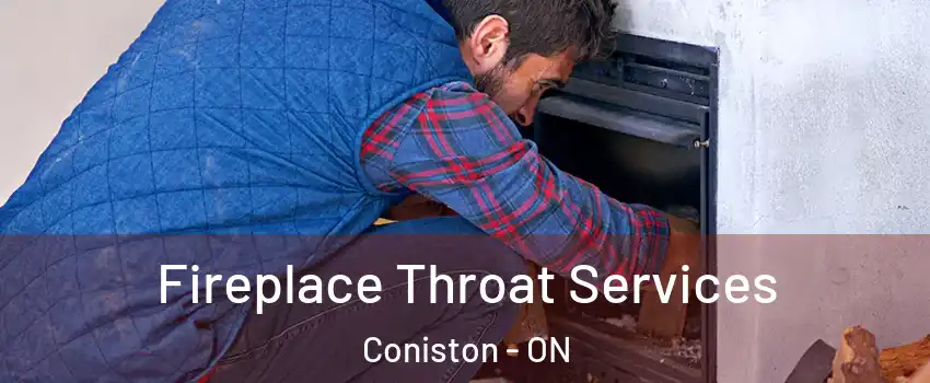  Fireplace Throat Services Coniston - ON