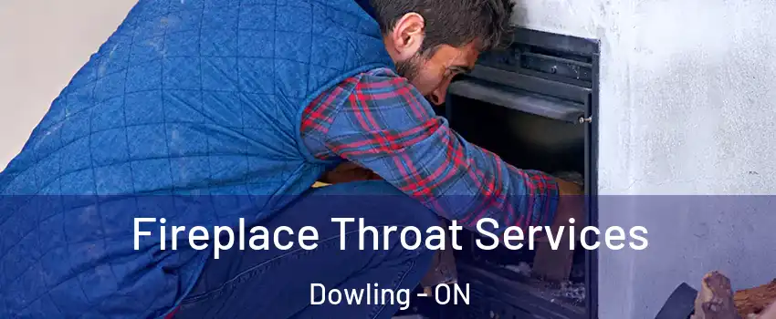  Fireplace Throat Services Dowling - ON