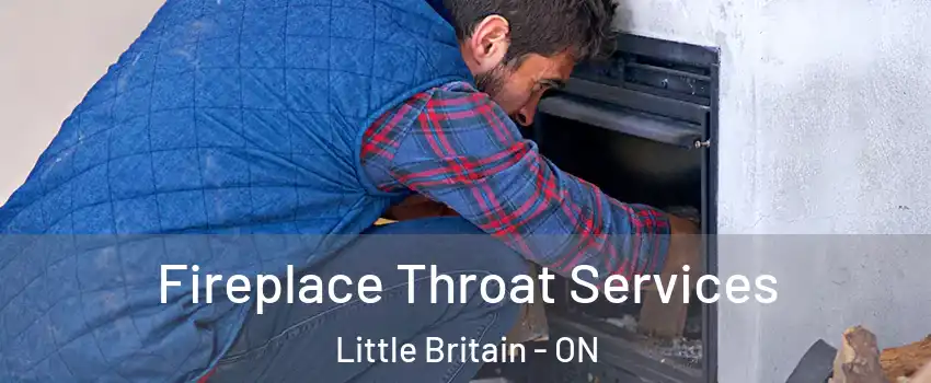  Fireplace Throat Services Little Britain - ON