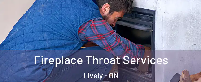  Fireplace Throat Services Lively - ON