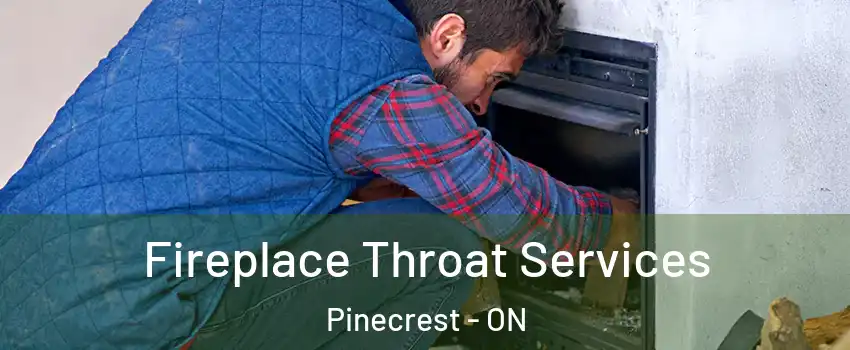  Fireplace Throat Services Pinecrest - ON