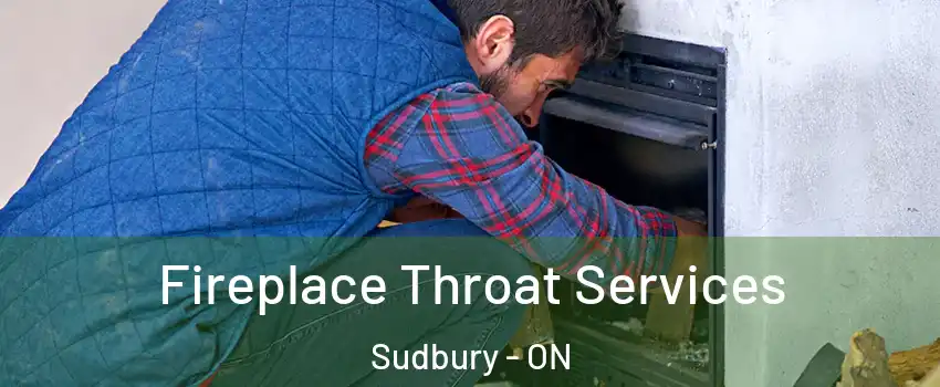  Fireplace Throat Services Sudbury - ON