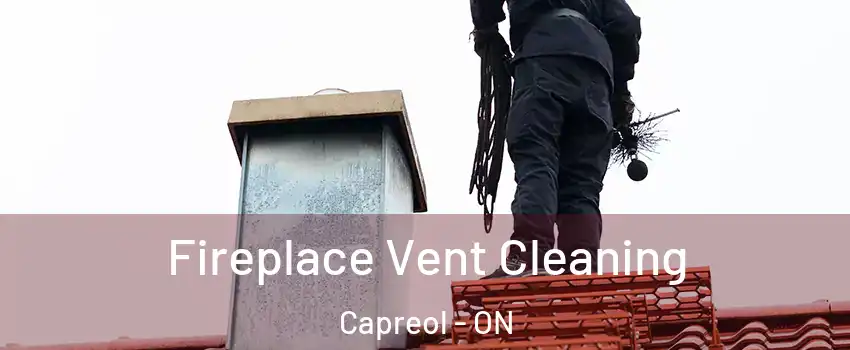  Fireplace Vent Cleaning Capreol - ON