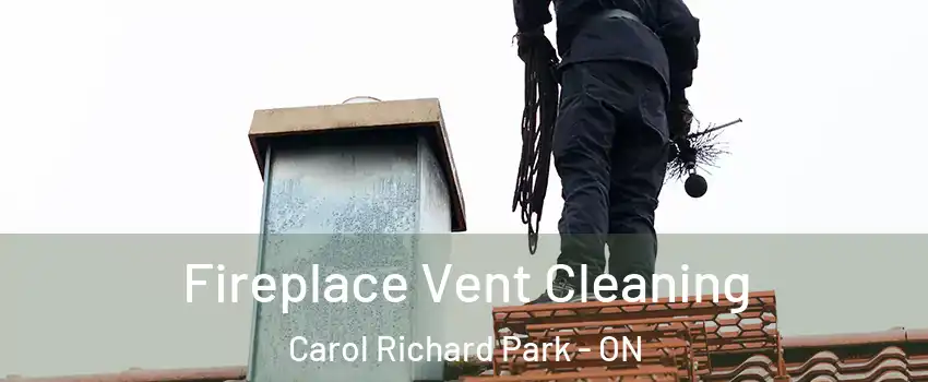  Fireplace Vent Cleaning Carol Richard Park - ON