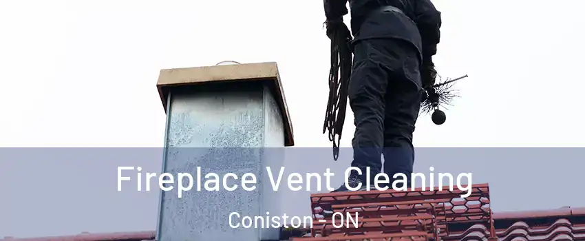  Fireplace Vent Cleaning Coniston - ON