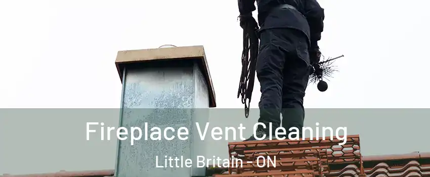  Fireplace Vent Cleaning Little Britain - ON