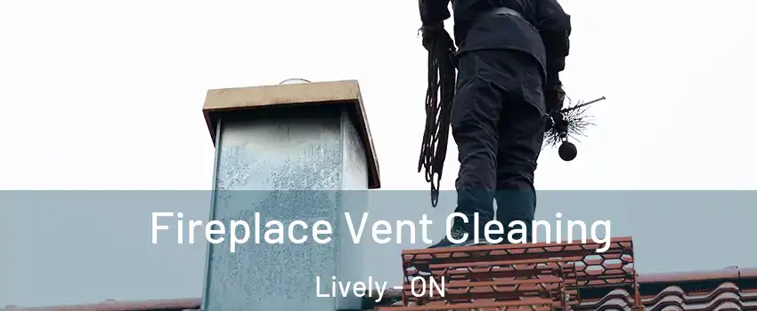  Fireplace Vent Cleaning Lively - ON