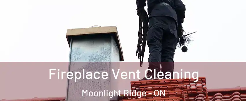  Fireplace Vent Cleaning Moonlight Ridge - ON