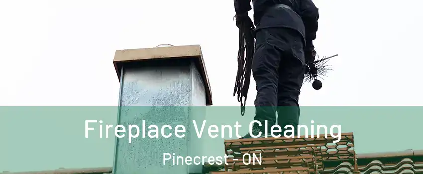  Fireplace Vent Cleaning Pinecrest - ON