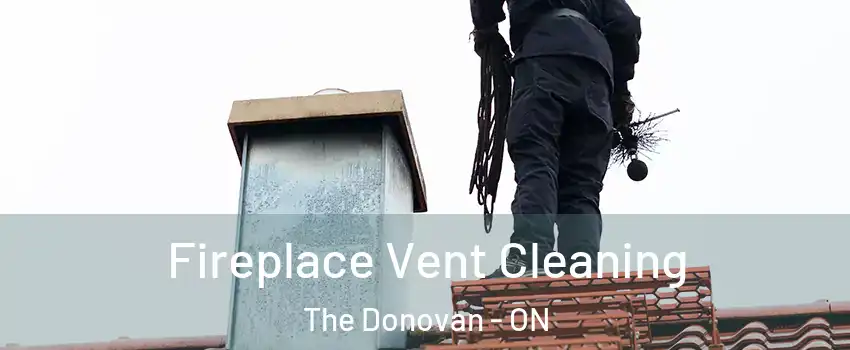  Fireplace Vent Cleaning The Donovan - ON
