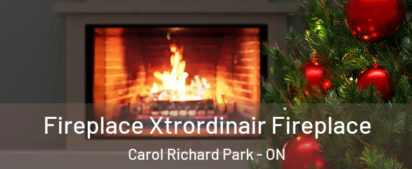 Fireplace Xtrordinair Fireplace Carol Richard Park - ON